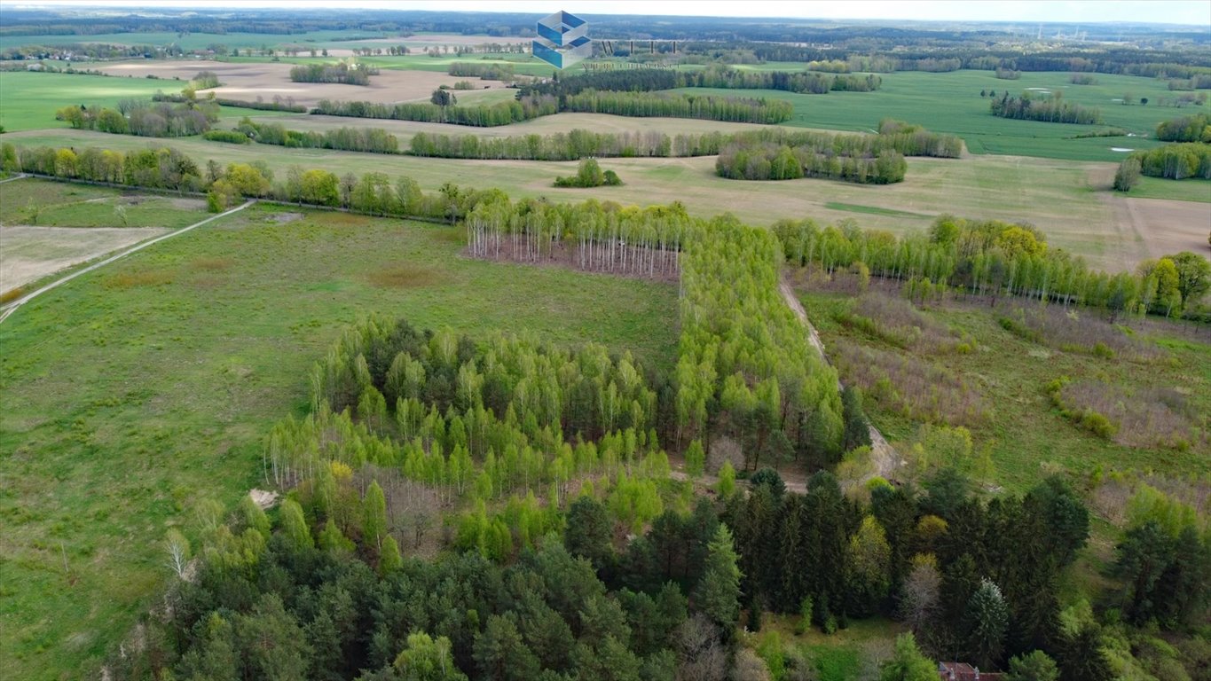 Działka budowlana na sprzedaż Mokiny  1 030m2 Foto 5