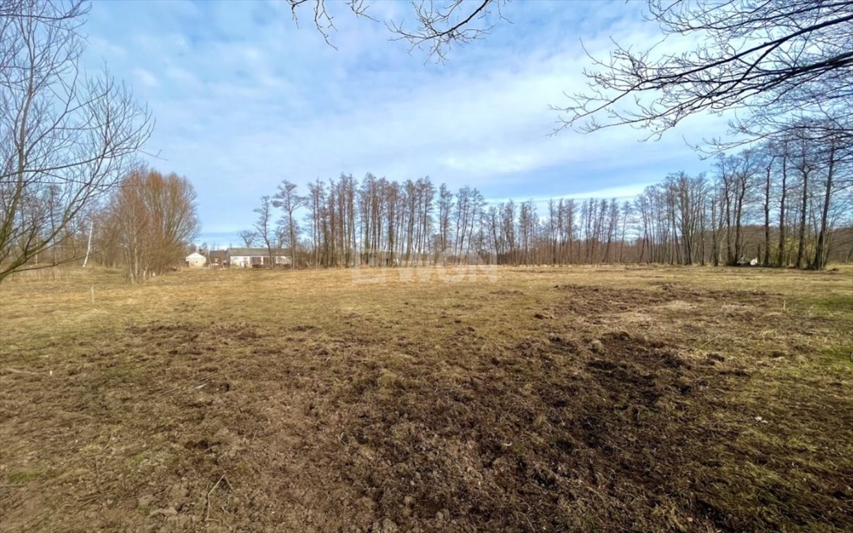 Działka inna na sprzedaż Brzozówka, Brzozówka  99 000m2 Foto 3