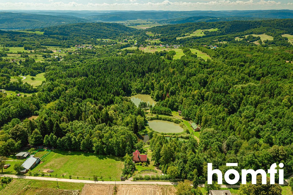 Działka budowlana na sprzedaż Skopów  35 351m2 Foto 1