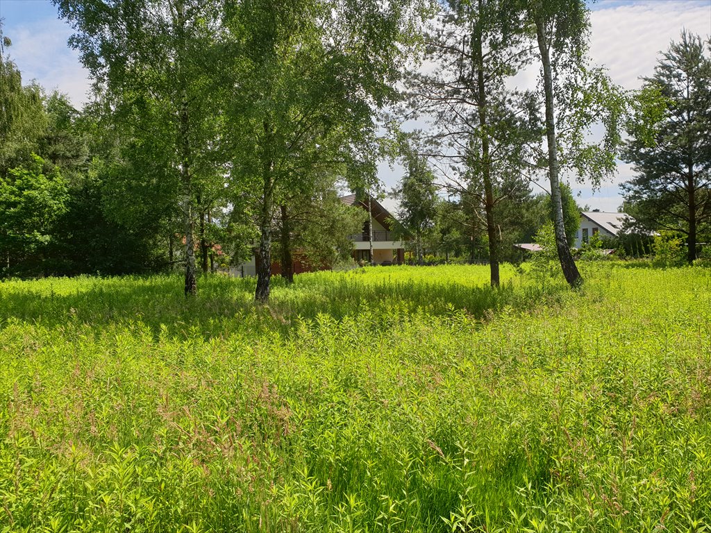 Działka budowlana na sprzedaż Nowy Prażmów  1 029m2 Foto 5