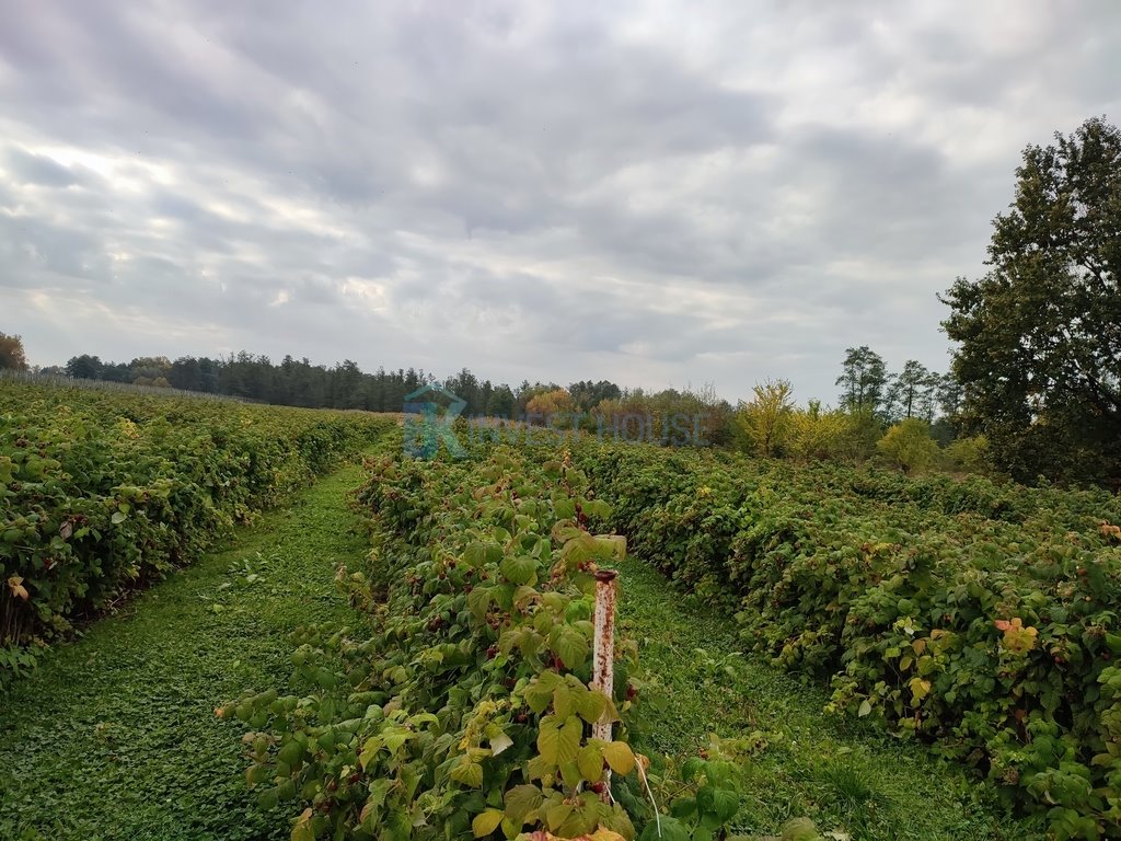 Działka siedliskowa na sprzedaż Czersk  8 400m2 Foto 2