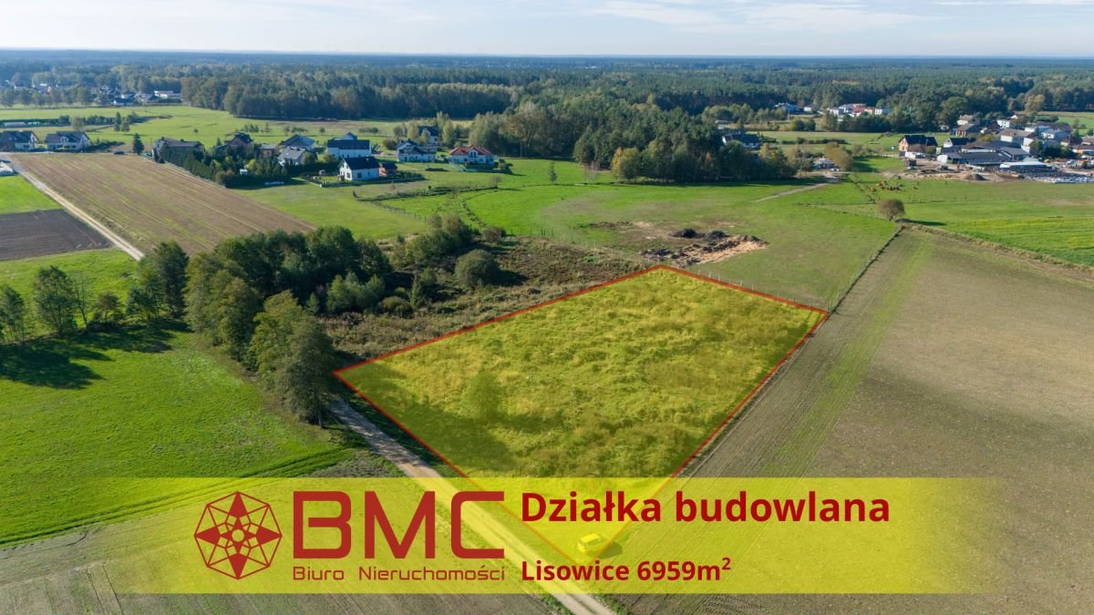 Działka budowlana na sprzedaż Lisowice, Dolna  6 959m2 Foto 1