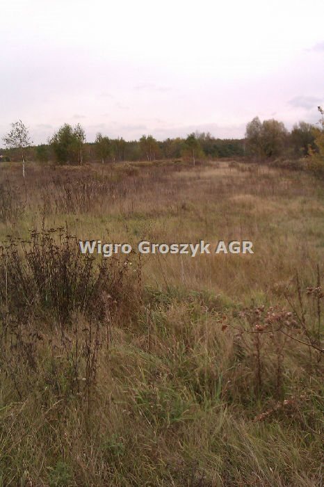 Działka 3596 m2 z dostępem do prądu i wody Czeczotki  3 596m2 Foto 1