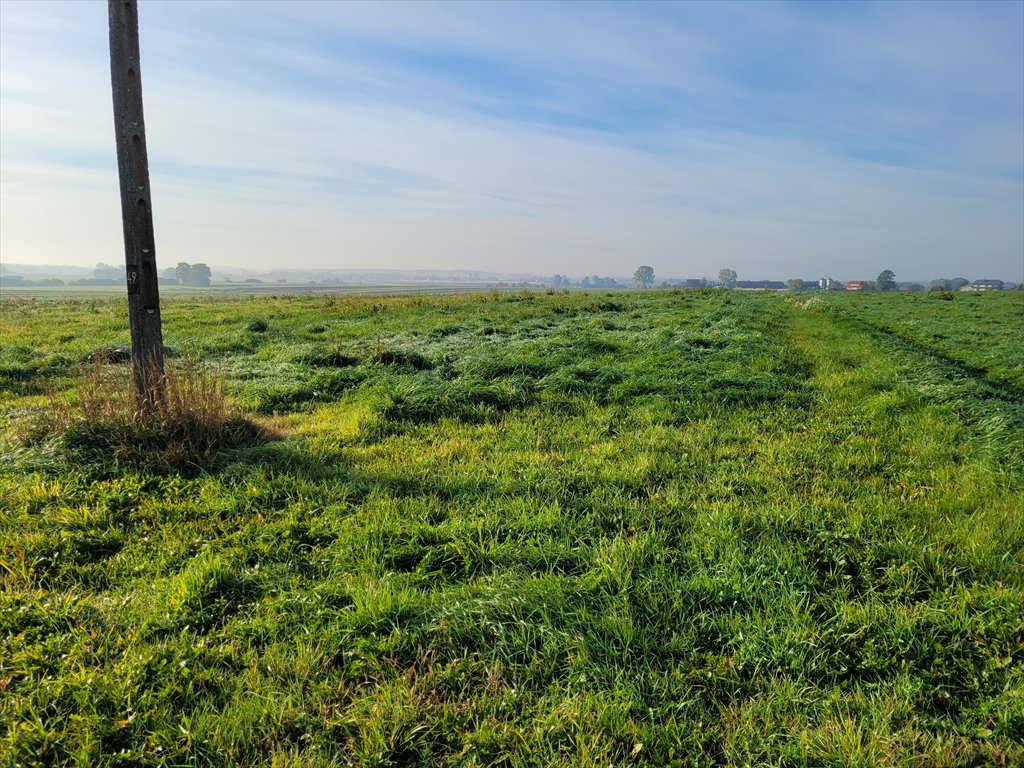 Działka rolna na sprzedaż Jędrzejów, Gozna  32 709m2 Foto 3