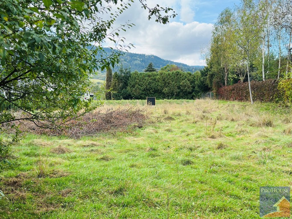 Działka budowlana na sprzedaż Kamienica  38m2 Foto 5