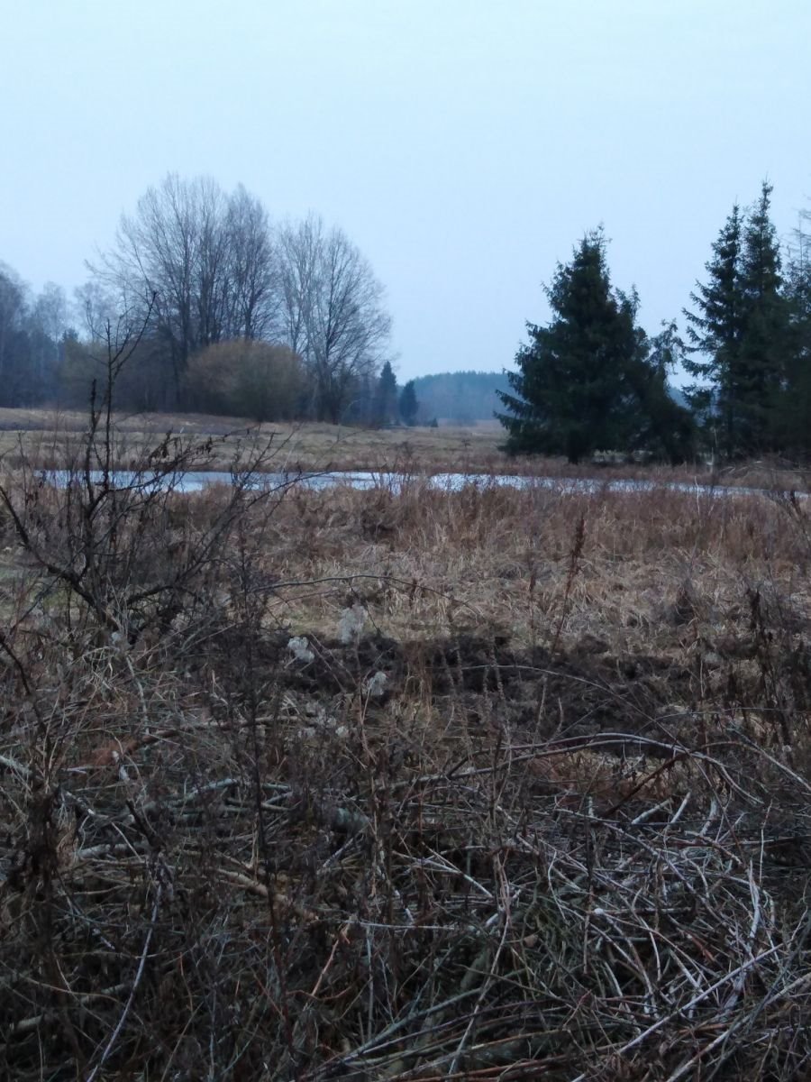 Działka gospodarstwo rolne na sprzedaż Sobolewo  16 000m2 Foto 5