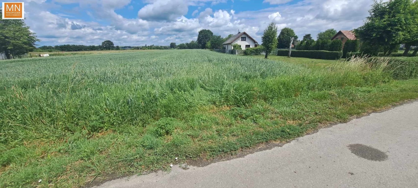 Działka budowlana na sprzedaż Ispina  8 500m2 Foto 3