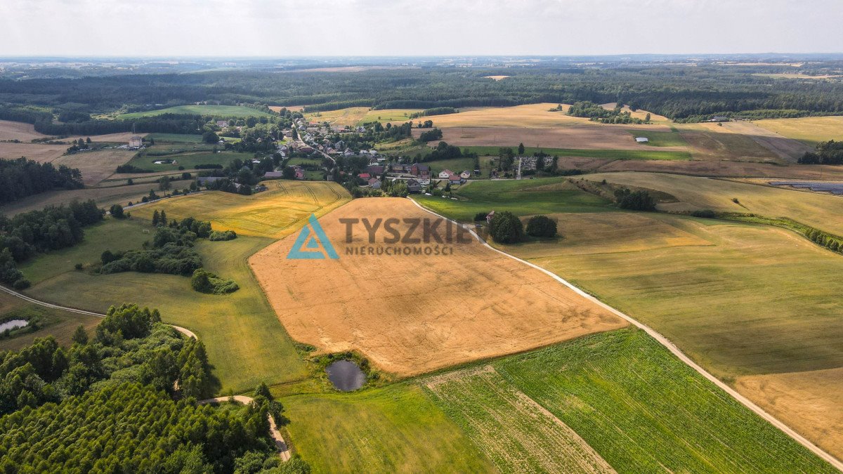 Działka rolna na sprzedaż Szczodrowo  38 300m2 Foto 6