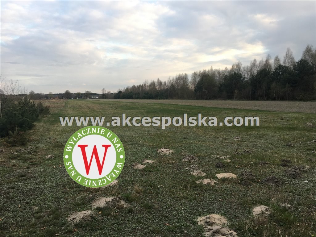 Działka inna na sprzedaż Zieleniec, Józefów  11 800m2 Foto 15