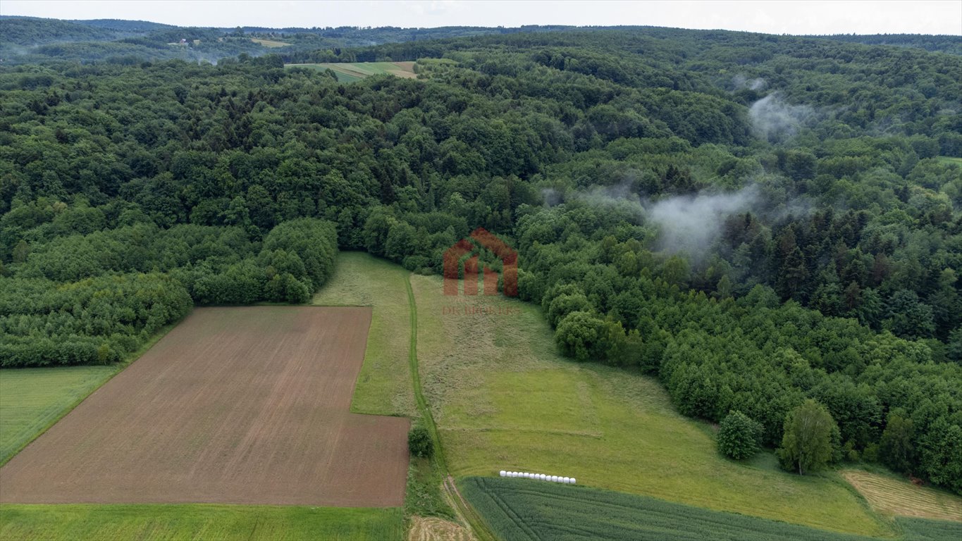 Działka rekreacyjna na sprzedaż Zagorzyce  10 000m2 Foto 1