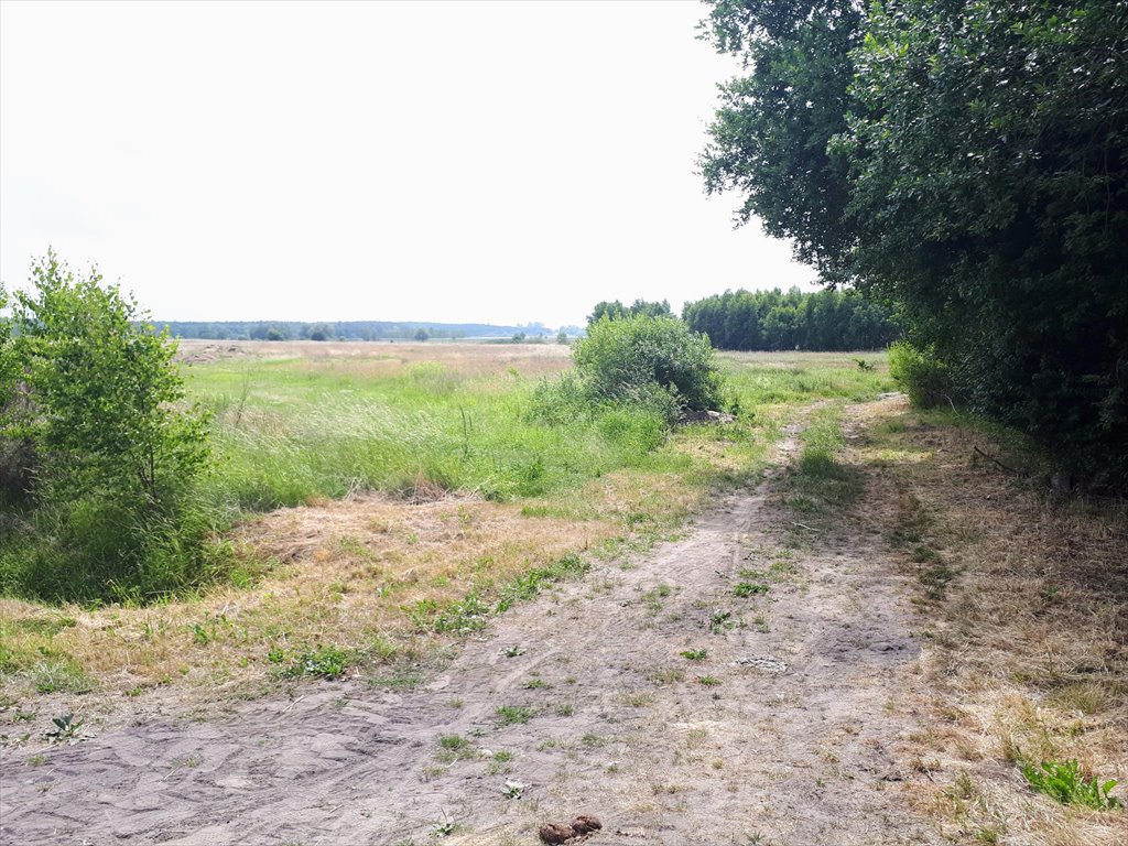 Działka budowlana na sprzedaż Budzistowo, Stare Miasto  1 519m2 Foto 15