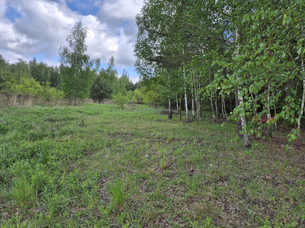 Do sprzedania działka 1920 m² z mediami w Książenicach Książenice  1 920m2 Foto 1