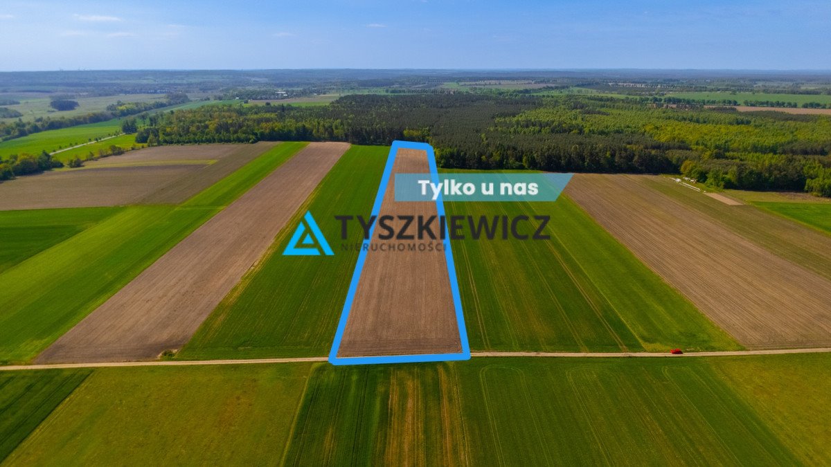 Działka rolna 38 100 m² blisko lasu, spokojna okolica Kończewo  38 100m2 Foto 1