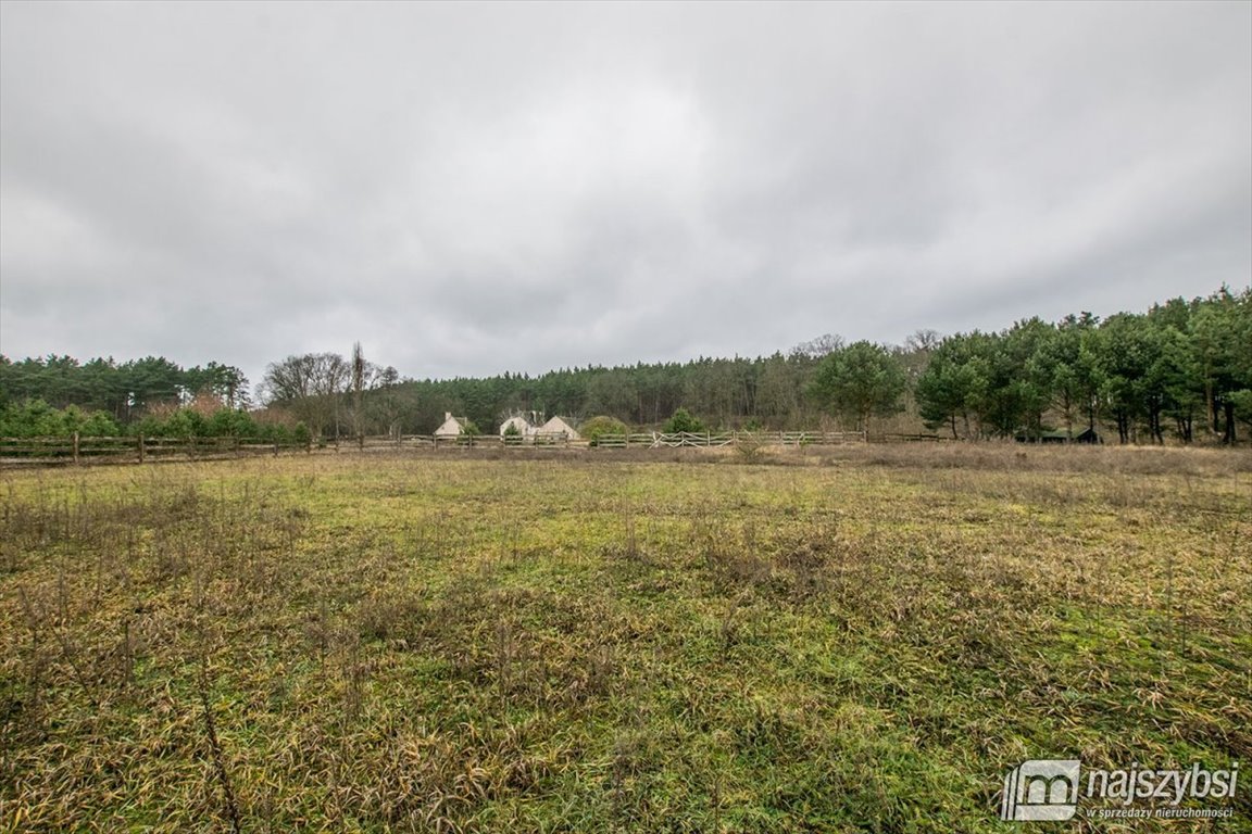 Lokal użytkowy na sprzedaż Bledzew  440m2 Foto 31