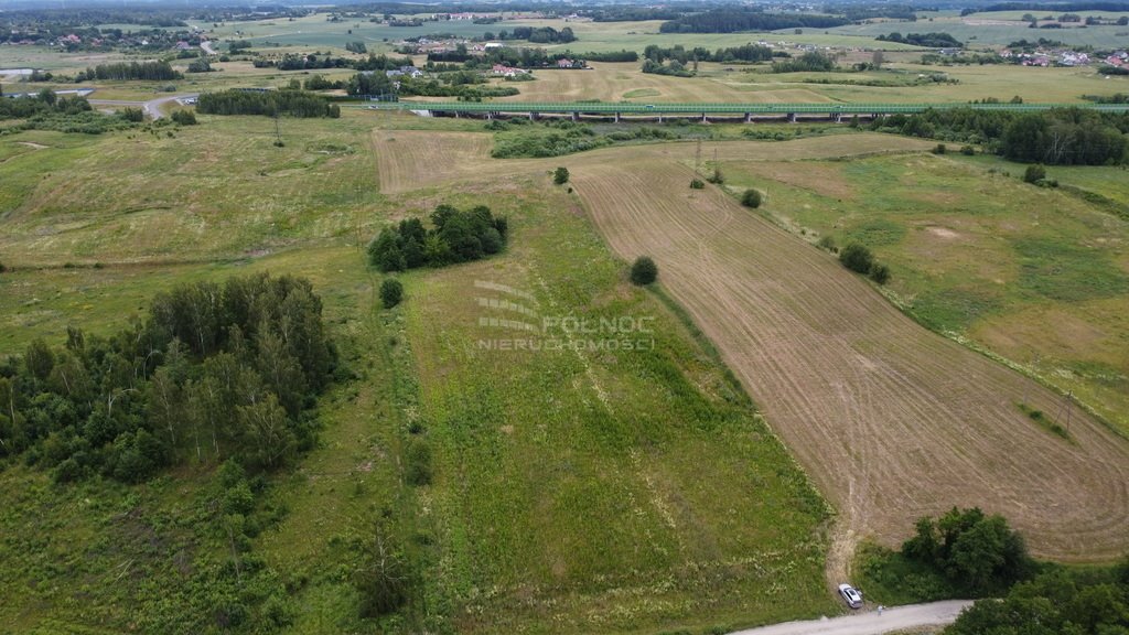 Działka inwestycyjna na sprzedaż Szczęsne  65 300m2 Foto 6