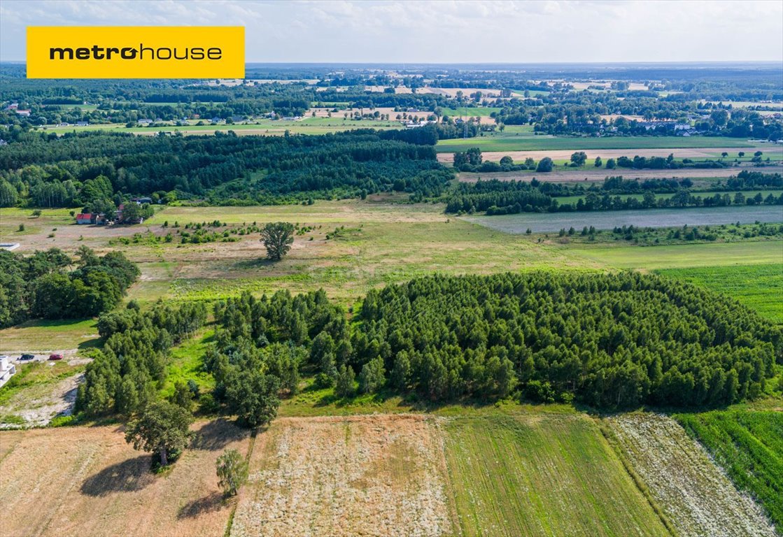 Działka inna na sprzedaż Ruda-Bugaj, Herbaciana  910m2 Foto 1