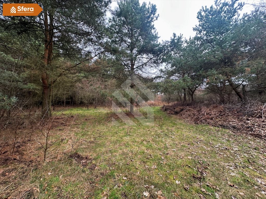 Działka 9082 m2 z linią brzegową Brdy, Piaski Bydgoszcz, Piaski  9 082m2 Foto 1