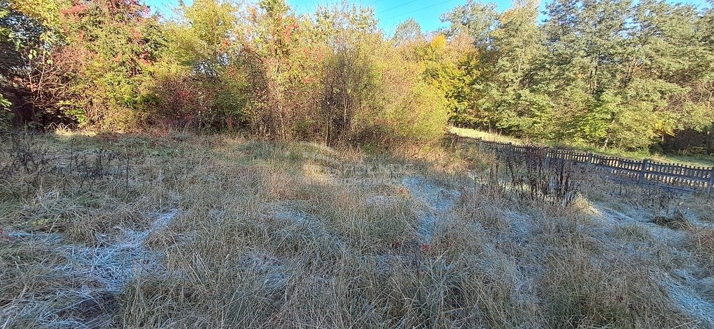 Działka budowlana na sprzedaż Cieszyn, Żniwna  972m2 Foto 4