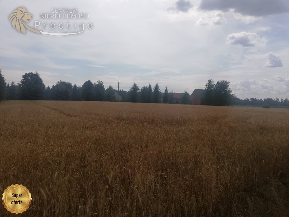 Działka budowlana na sprzedaż Biskupice, Biskupskie Drogi  1 353m2 Foto 6