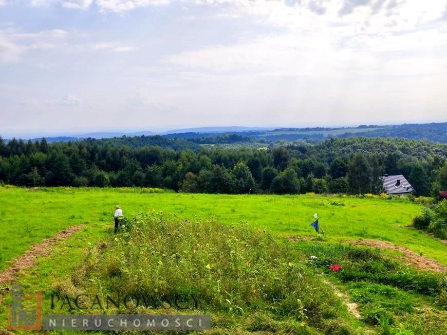 Działka budowlana na sprzedaż Brzozówka Korzkiewska  11 850m2 Foto 1