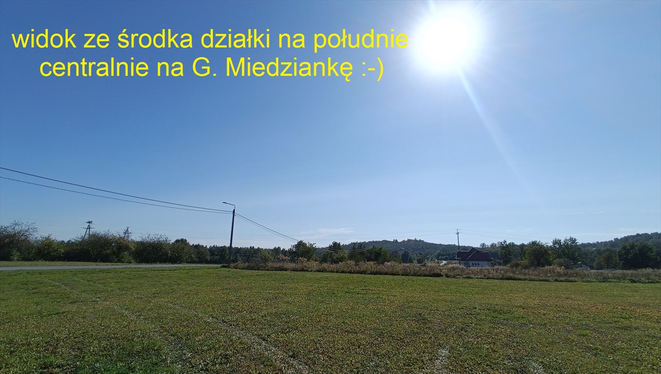 Działka budowlana na sprzedaż Zajączków  3 300m2 Foto 5