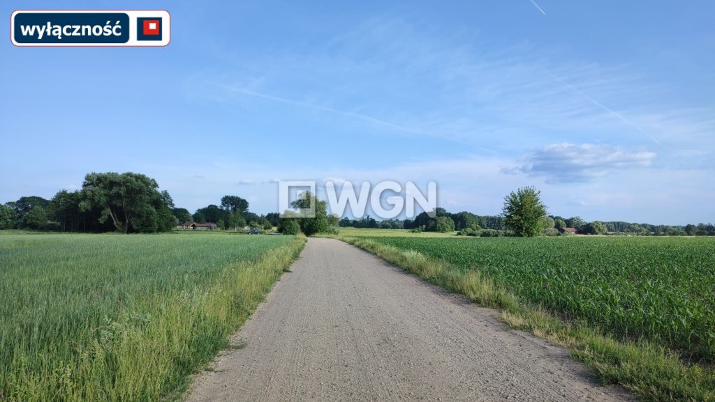 Działka inna na sprzedaż Lisewo, Lisewo  1 103m2 Foto 11