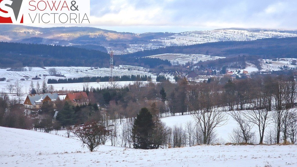 Działka 3009 m² z możliwością zabudowy, blisko lasu Bartnica  3 009m2 Foto 1