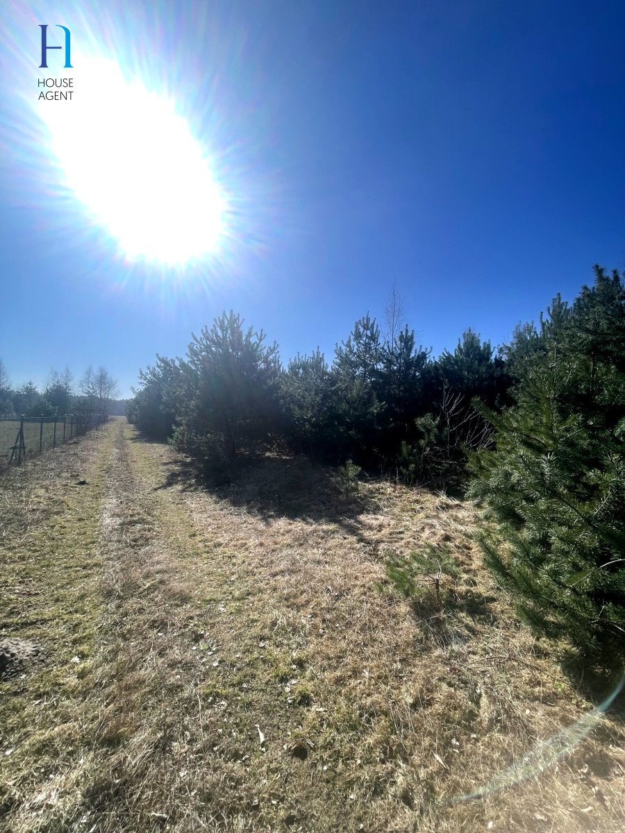 Działka rolna na sprzedaż Janów  6 000m2 Foto 4
