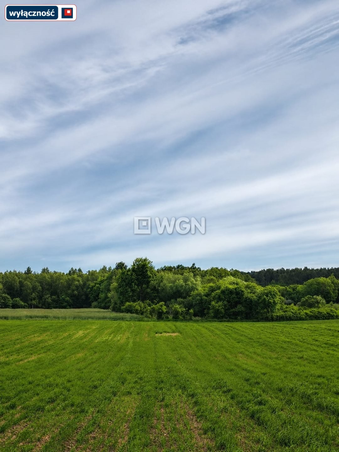 Działka na Mazurach 1,3 ha - blisko jeziora Śniardwy Nowe Guty  13 053m2 Foto 1