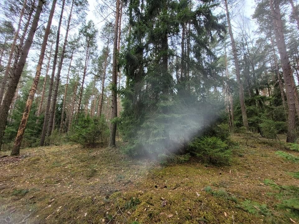 Działka gospodarstwo rolne na sprzedaż Wierobie  29 908m2 Foto 4