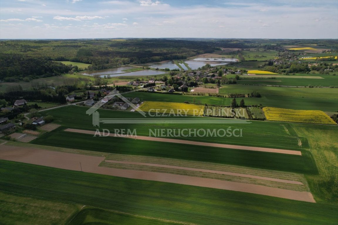 Działka inwestycyjna na sprzedaż Niemienice, Niemienice  19 500m2 Foto 5