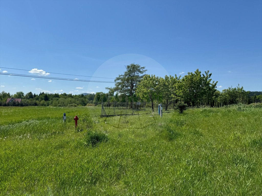 Działka budowlana na sprzedaż Wojnarowa  1 600m2 Foto 4