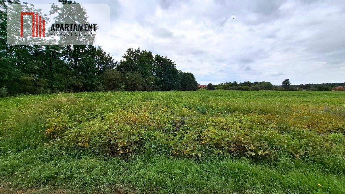 Dwie działki budowlane w Żołędowie (1161 i 1470 m²) Żołędowo, Polna  1 161m2 Foto 1