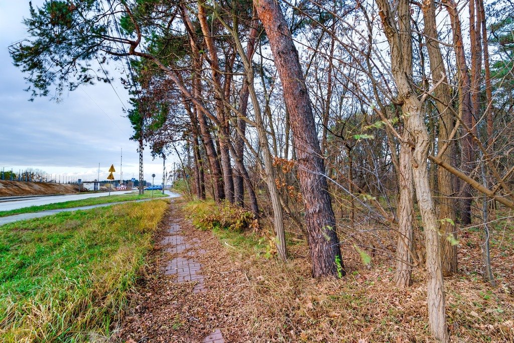 Działka budowlana na sprzedaż Czosnów, Warszawska  2 066m2 Foto 11