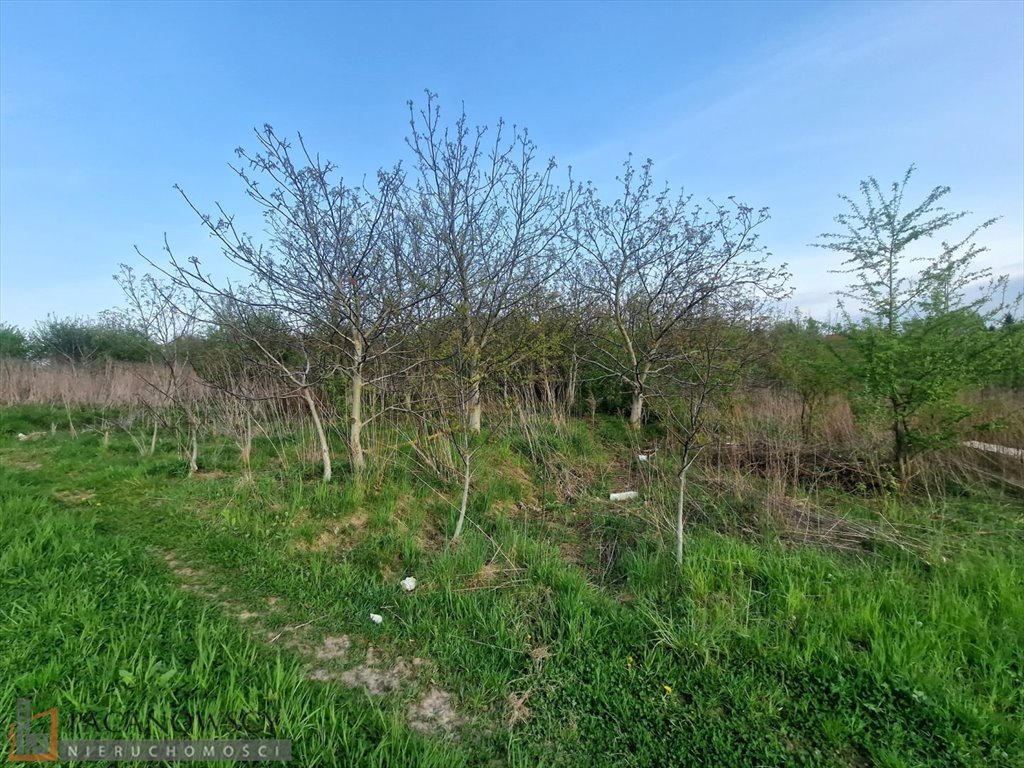 Działka budowlana na sprzedaż Bibice  7 700m2 Foto 1