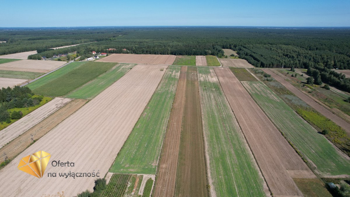 Działka budowlana na sprzedaż Nasutów  3 000m2 Foto 7