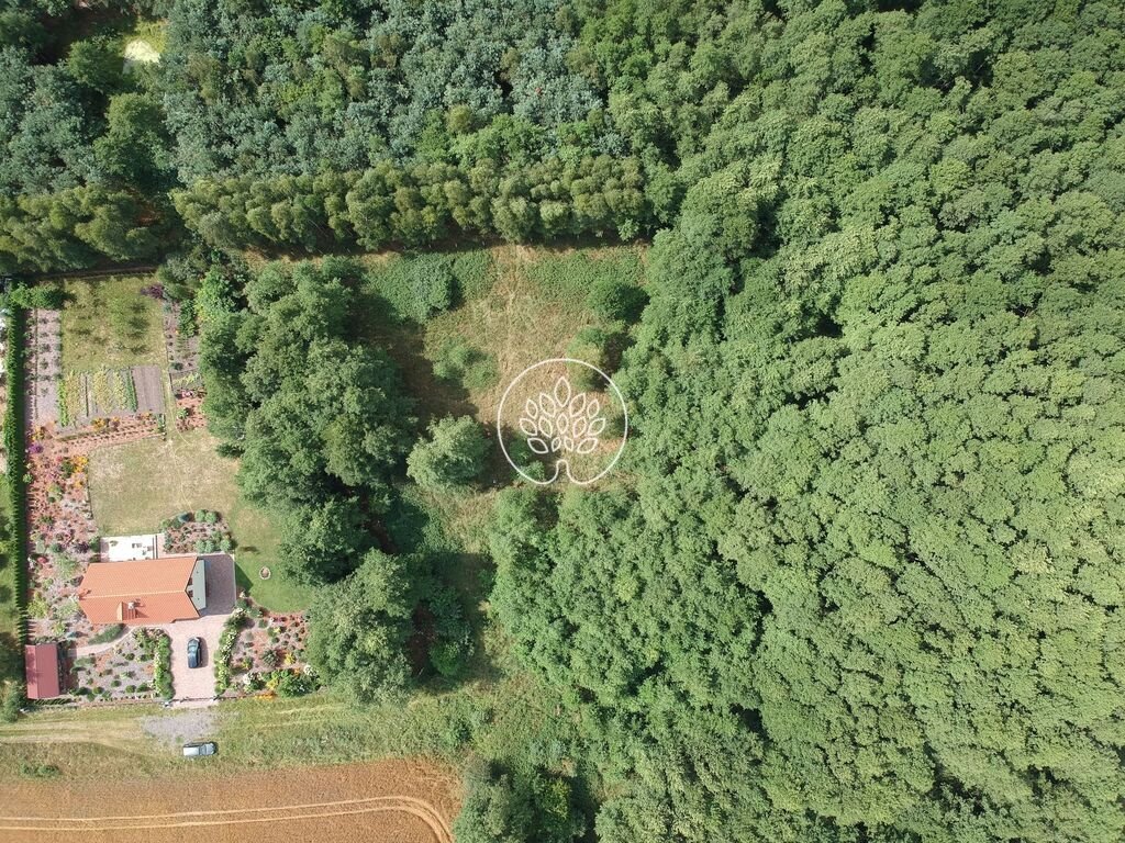 Działka 2650 m² pod dom i ogród w Klotyldowie Klotyldowo  2 650m2 Foto 1