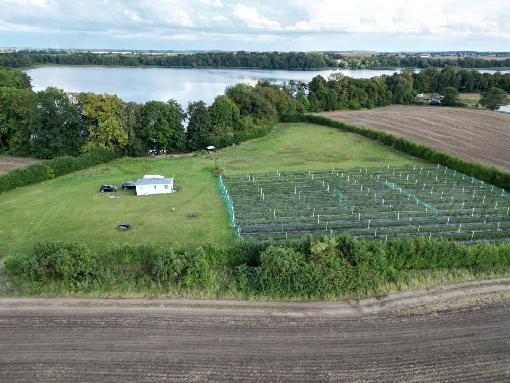 Działka budowlana na sprzedaż Trzcińsko-Zdrój, Trzcińsko-Zdrój, Tchórzono  działka 8  12 500m2 Foto 1