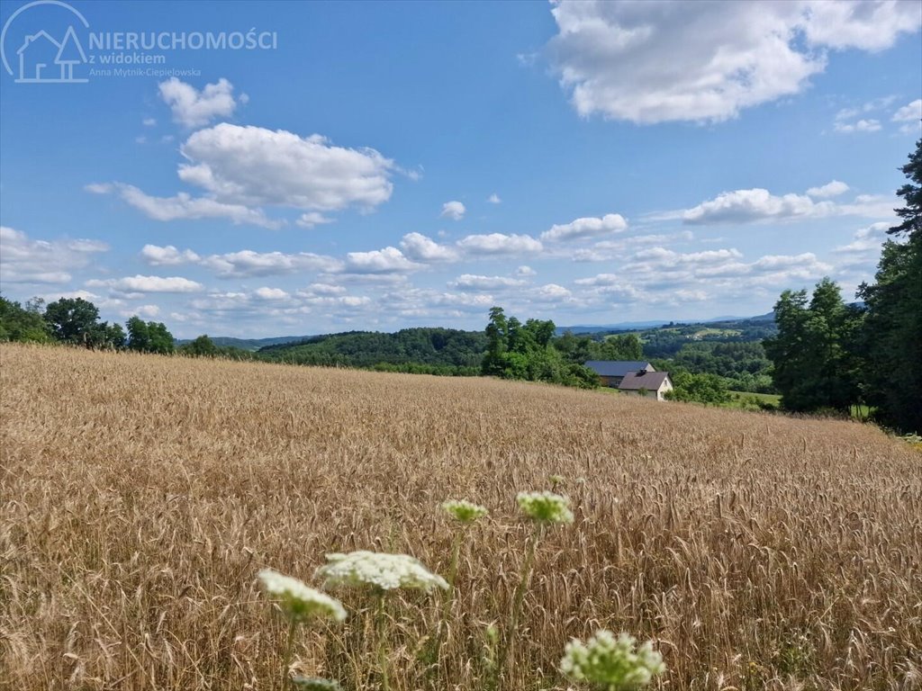 Działka budowlana na sprzedaż Błażkowa  2 200m2 Foto 8