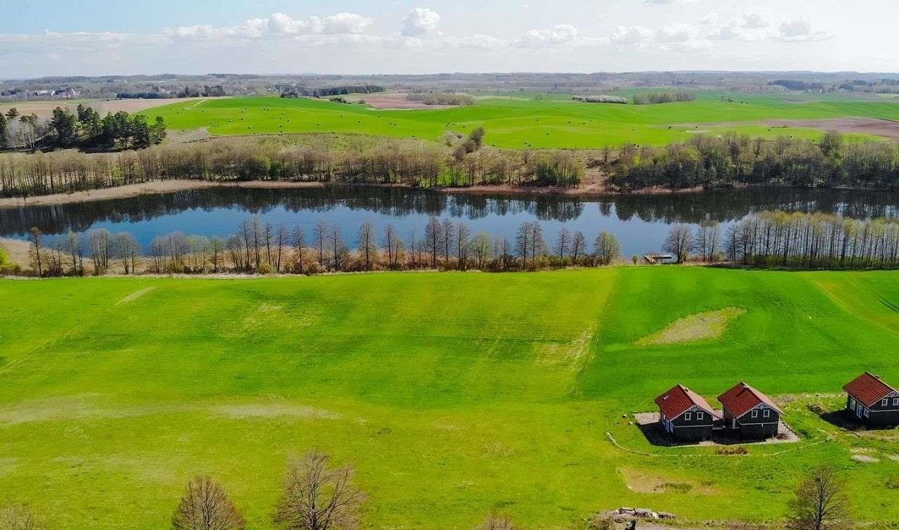 Działka budowlana na sprzedaż Miłki  10 002m2 Foto 12