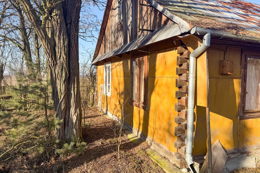 Działka siedliskowa na sprzedaż Borki  101 600m2 Foto 11