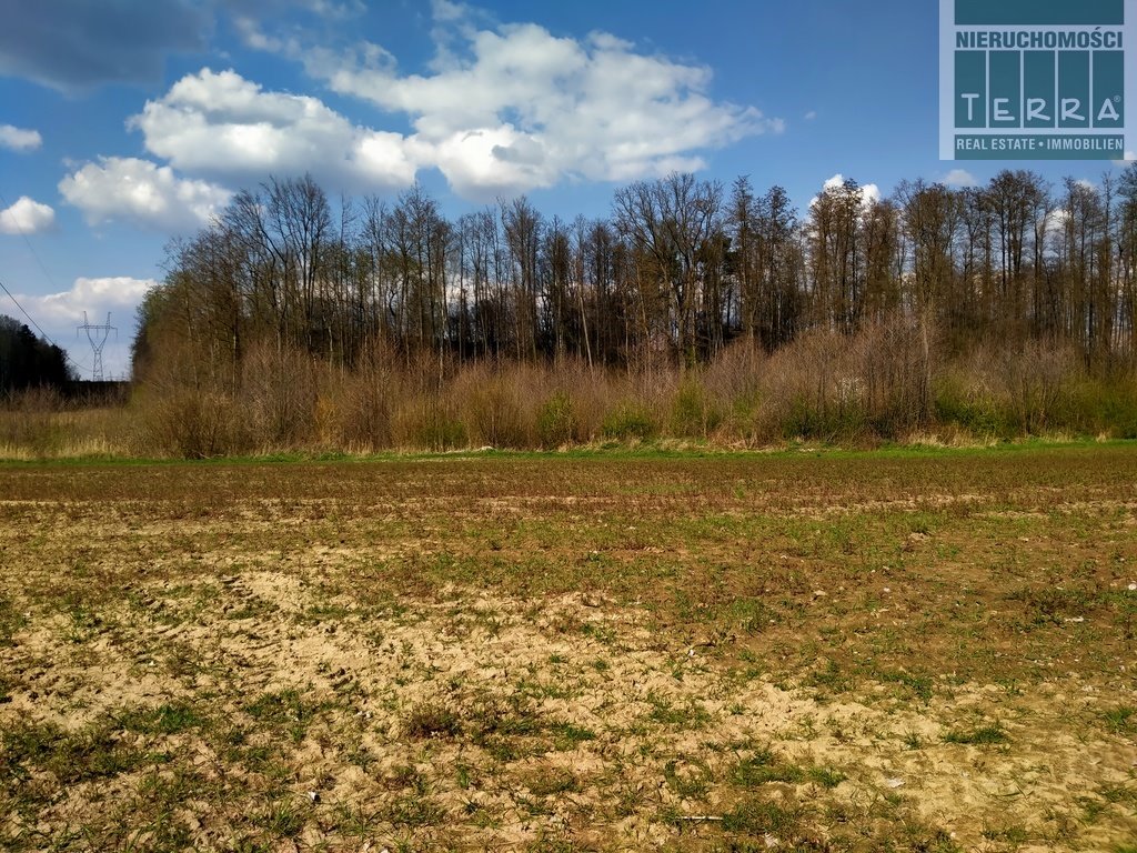Działka rolna na sprzedaż Letnica  3 578m2 Foto 1
