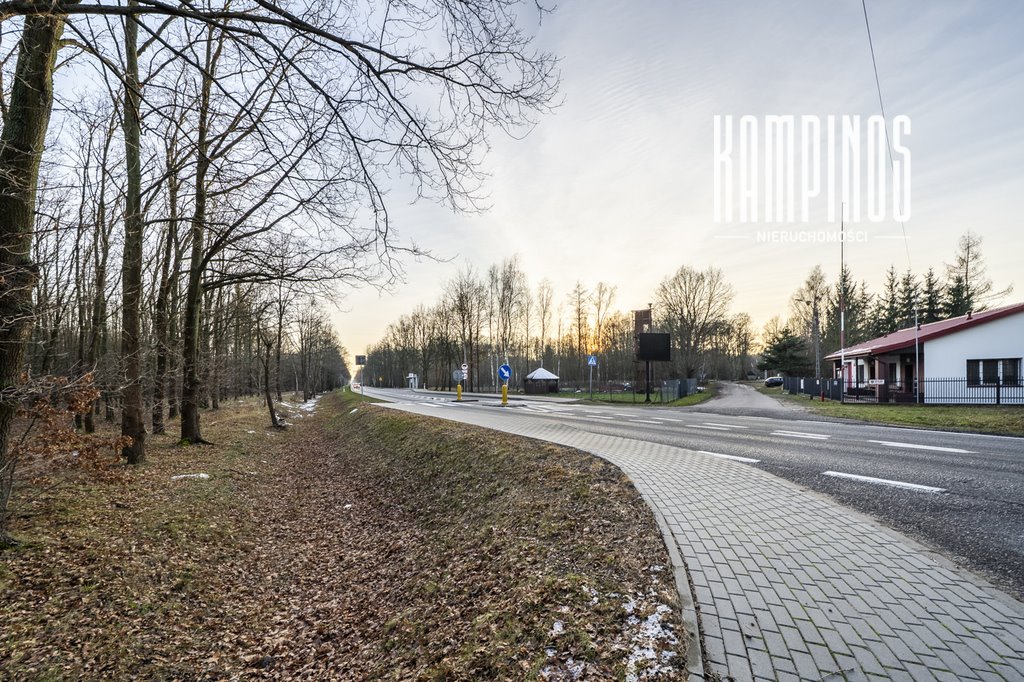 Działka 3 200 m² z możliwością zabudowy i inwestycji Sowia Wola Folwarczna  3 200m2 Foto 1
