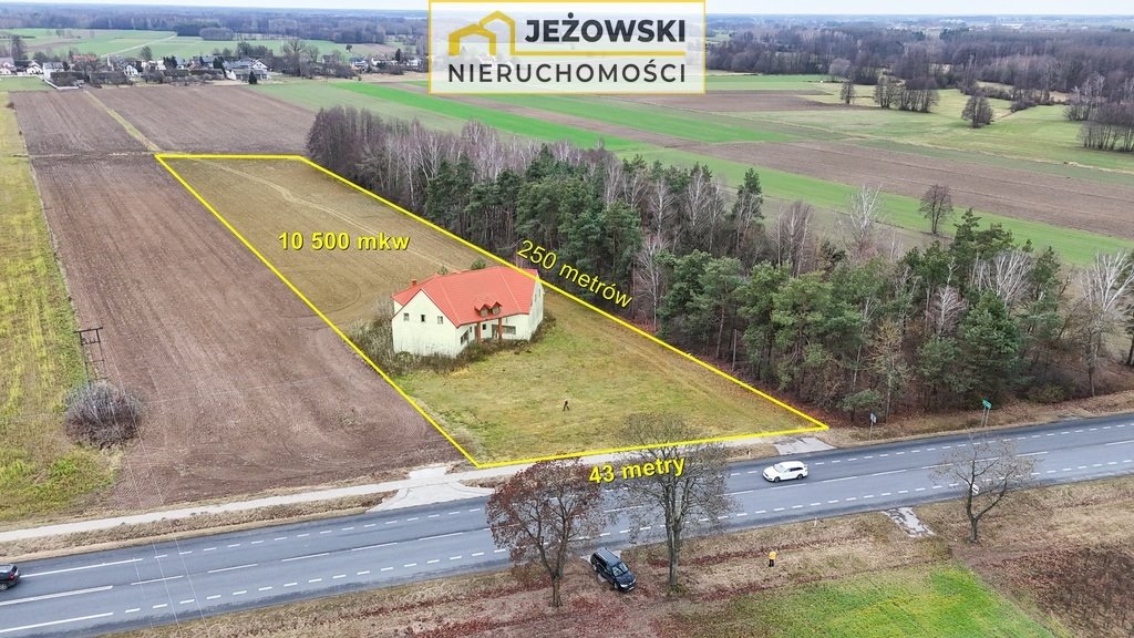 Działka inwestycyjna na sprzedaż Grochówka  10 500m2 Foto 6