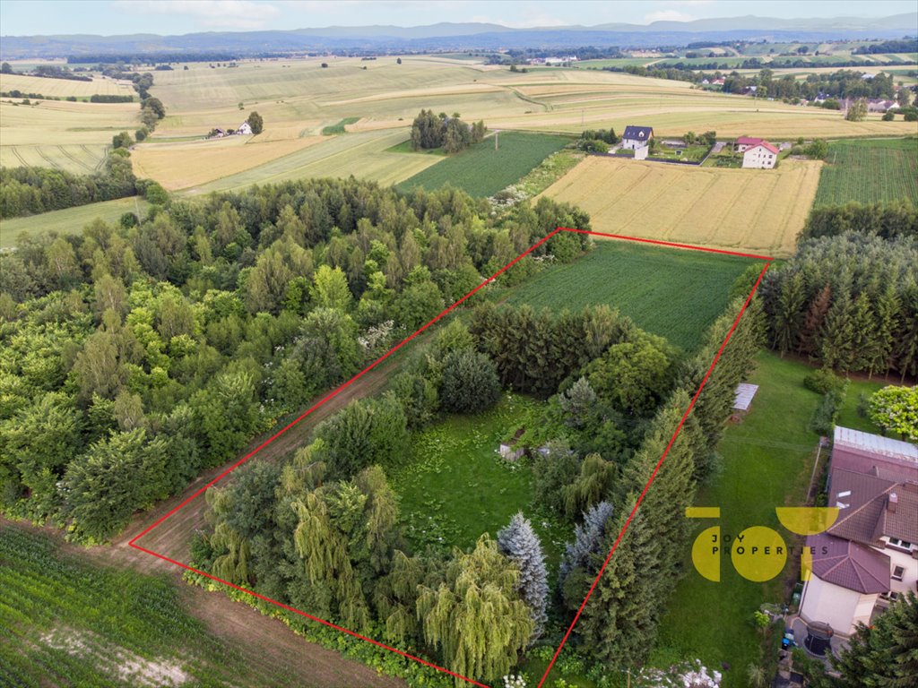 Działka budowlana na sprzedaż Brzezie  9 300m2 Foto 2