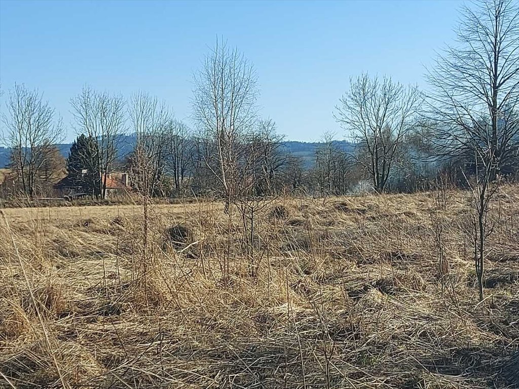 Działka inna na sprzedaż Walim, Niedźwiedzica  1 979m2 Foto 5