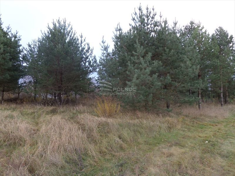 Działka budowlana na sprzedaż Czaplino 1 600m2 Foto 1 Działka budowlana na sprzedaż Czaplino 1 600m2 Foto 1