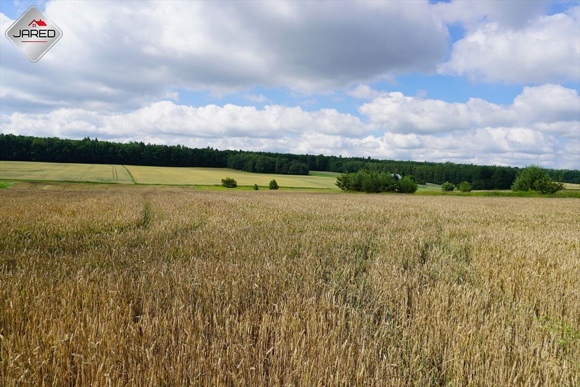 Działka budowlana na sprzedaż Osmolice Pierwsze  1 700m2 Foto 3