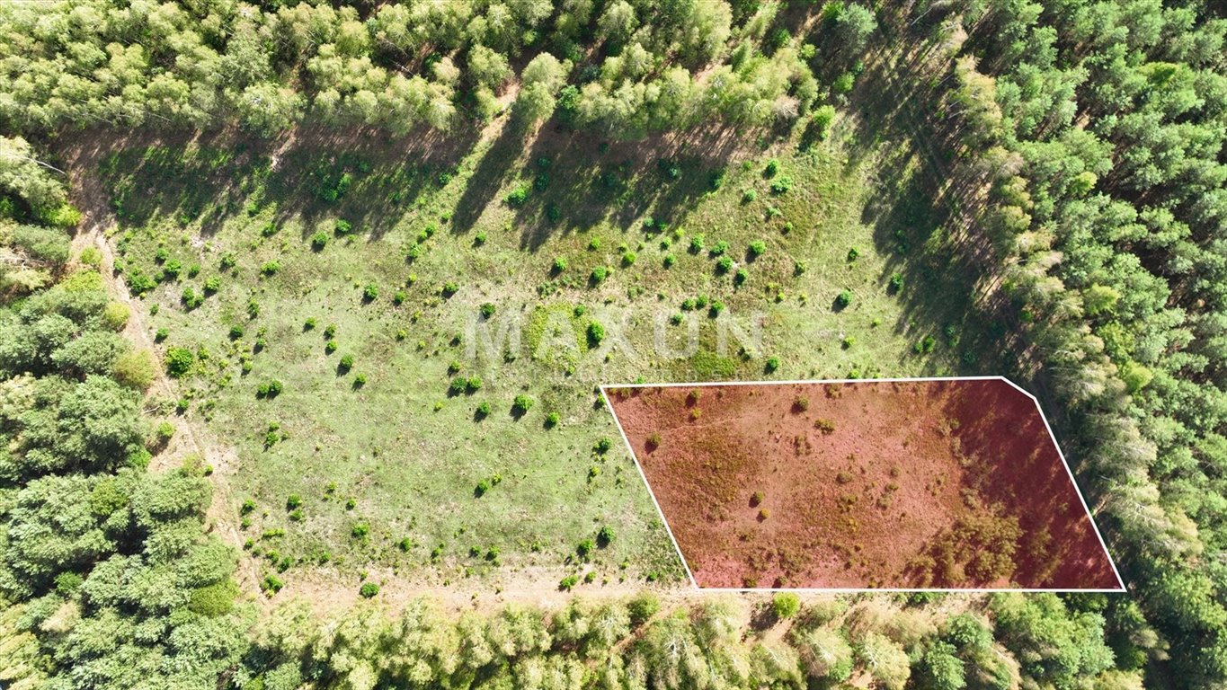 Działka 3000 m² pod inwestycję i zamieszkanie w otulinie Parku Sokule  3 000m2 Foto 1