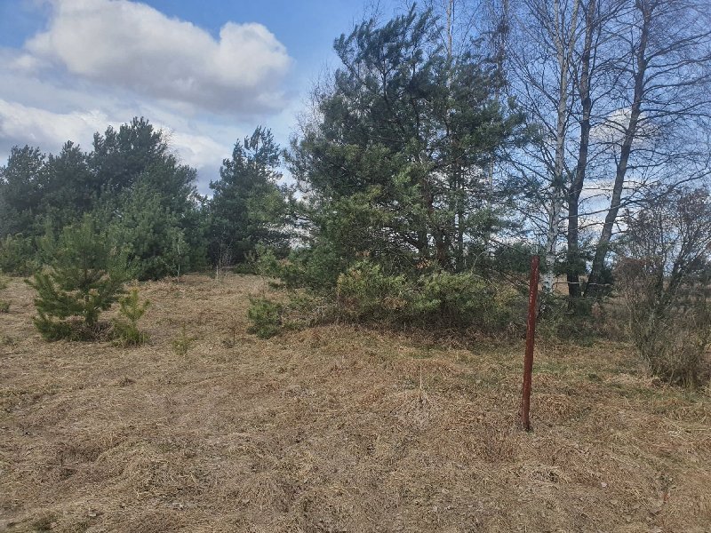 Działka 710 m² z mediami i lasem w Przymiłowicach - polecam! Olsztyn, Przymiłowice  7 367m2 Foto 1